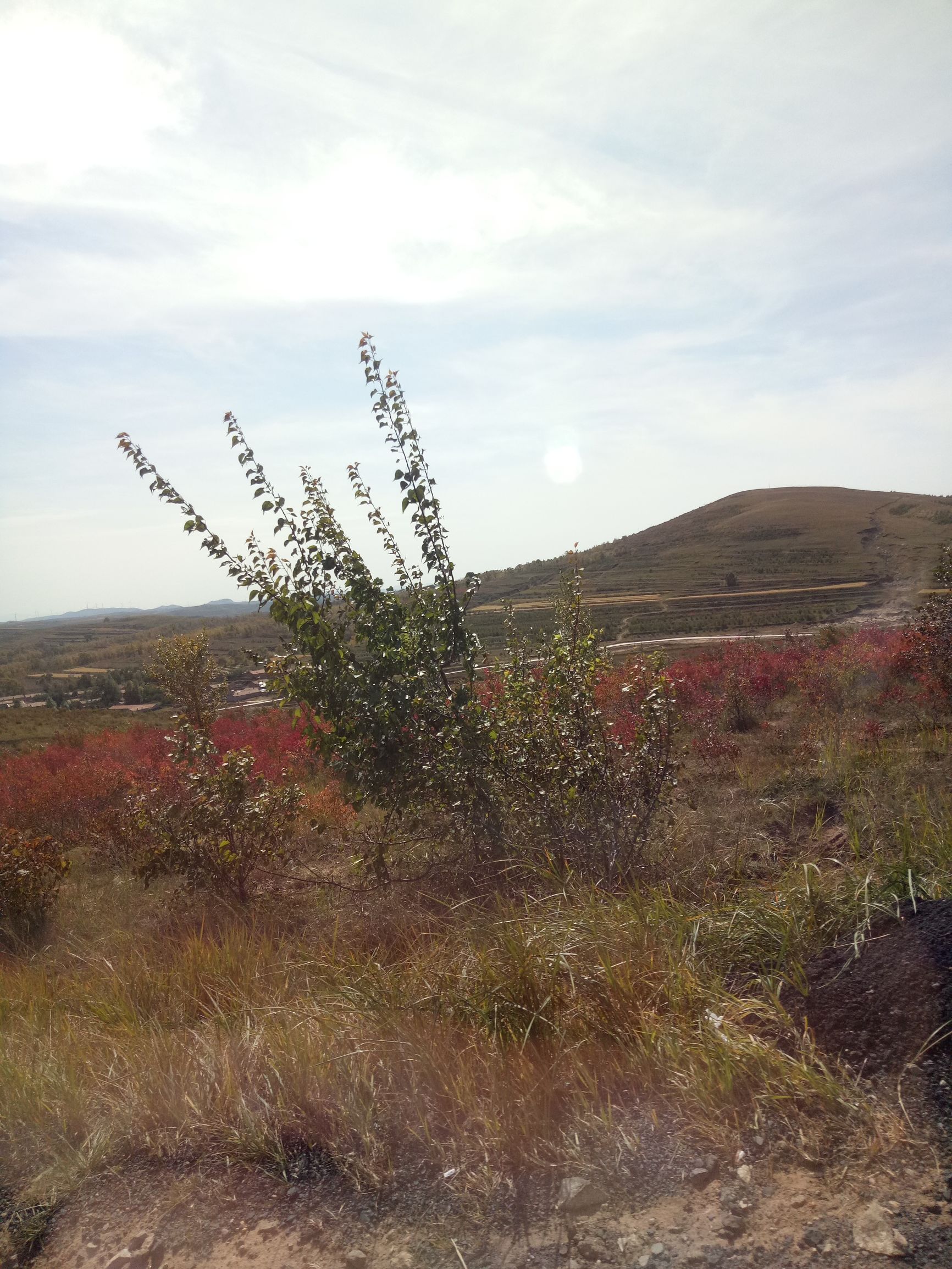 张北的草原天路之旅,张北天路攻略