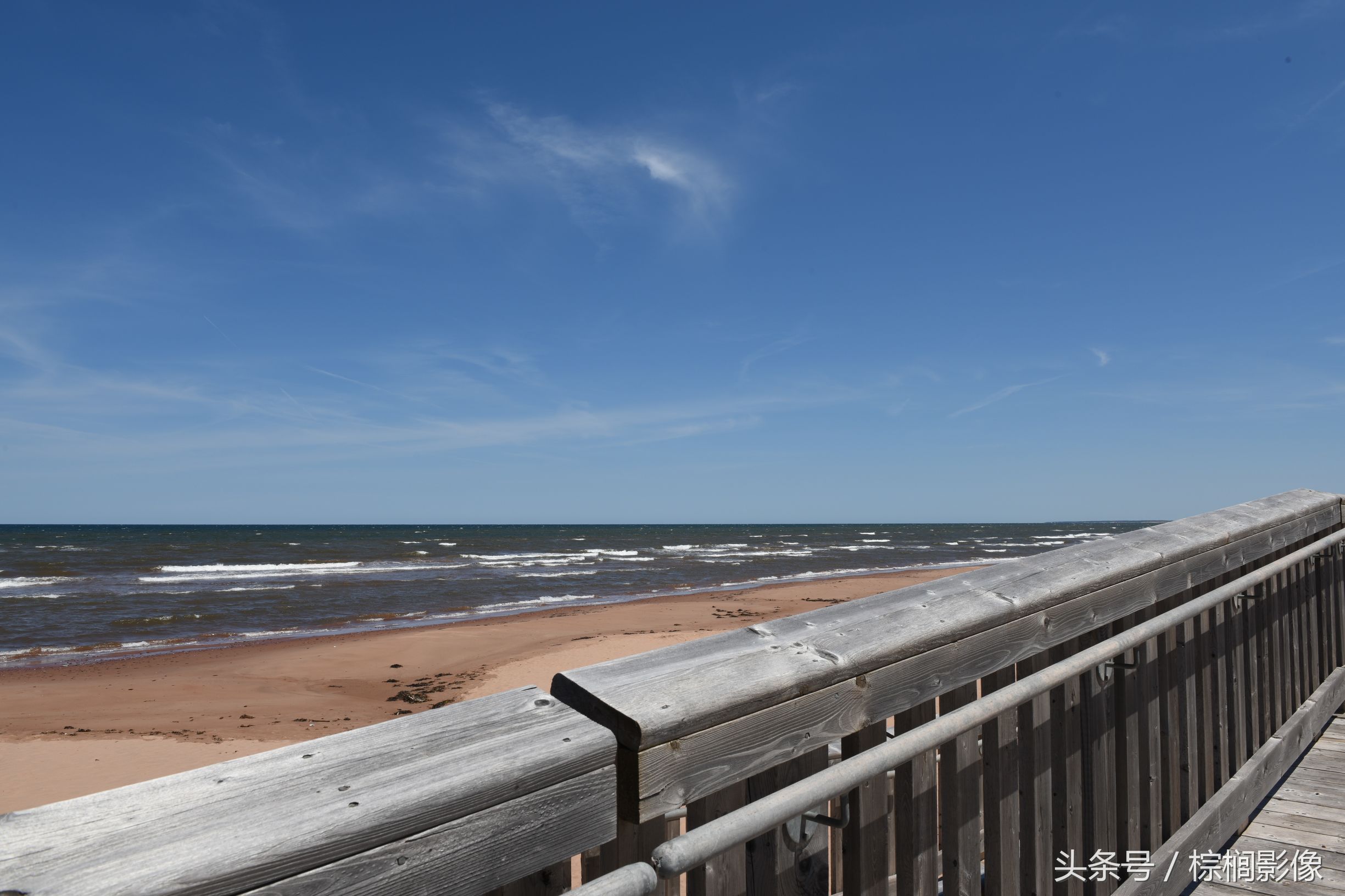 鐖卞痉鍗庣帇瀛愬矝鏈夋病鏈夊畨濡繖涓汉,缁垮北澧欑殑瀹夊Ξ鐖卞痉鍗庣帇瀛愬矝