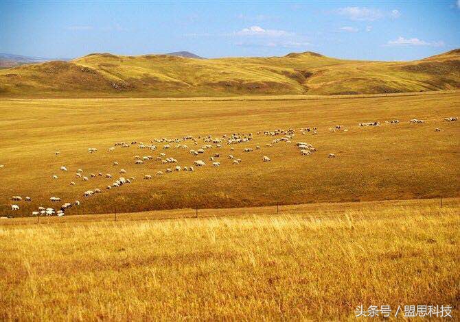 我的旅行记内蒙古,我的旅行日志完整版