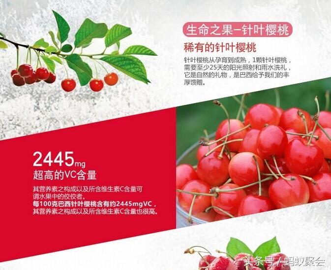 胎儿每月发育过程及营养情况,胎儿脑神经发育所需营养