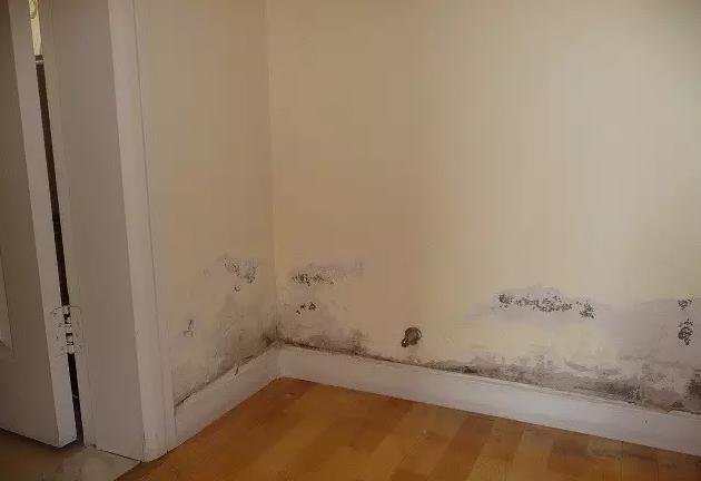 老房子潮湿墙皮脱落发霉,墙皮脱落发霉什么原因