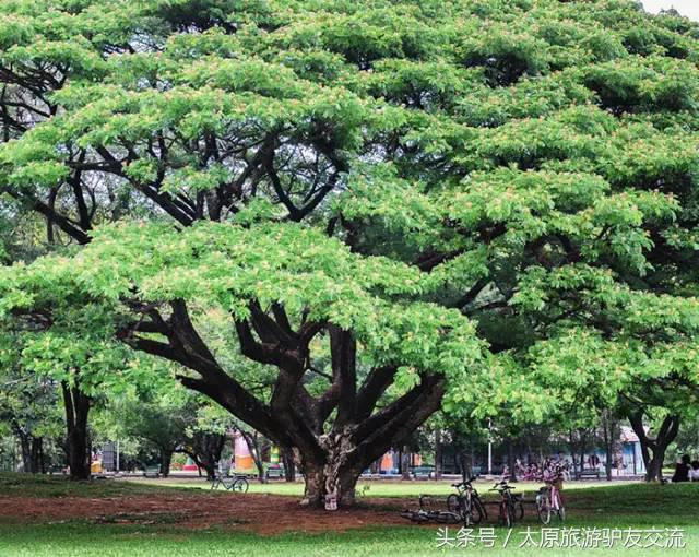 娉板浗棣栭兘鏇艰胺澶╀娇涔嬪煄,鏇艰胺涓轰粈涔堟槸澶╀娇涔嬪煄