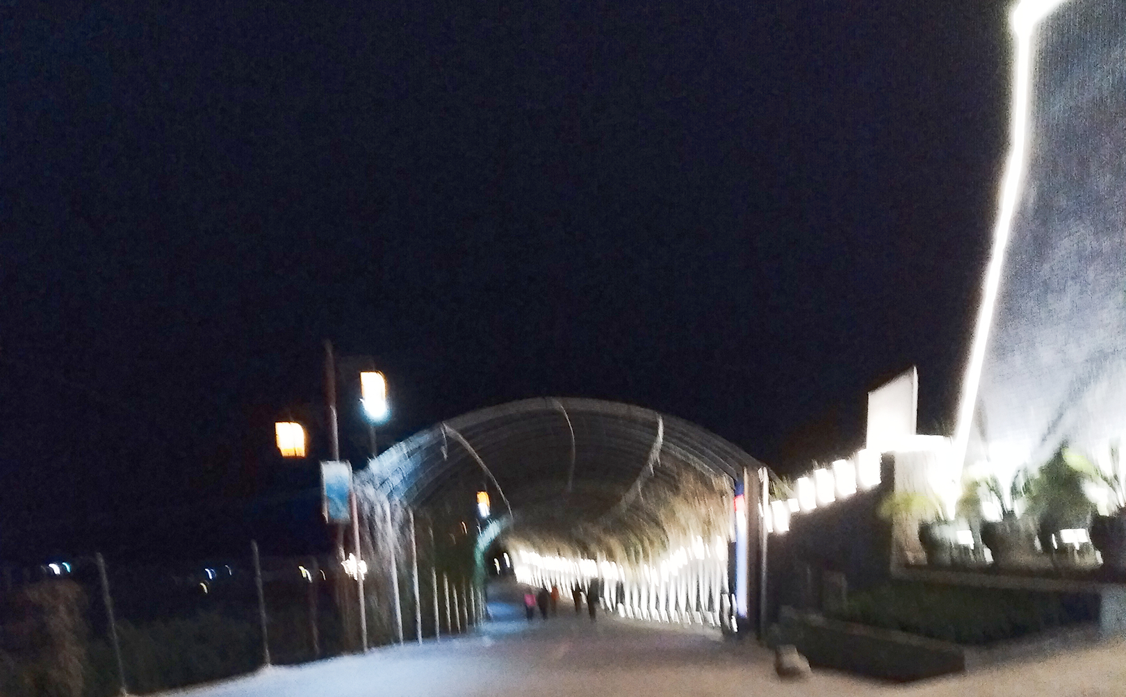 褒河花果山夜景,褒河花果山菊花台