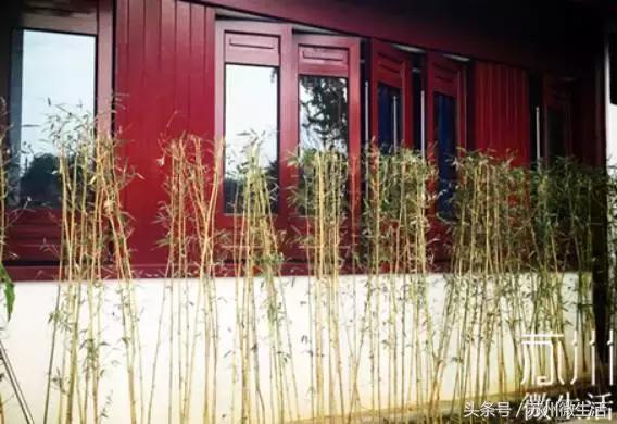 苏州的好看的东西,苏州vs纽约