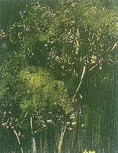 古典油画大师油画技法,很全的绘画教程