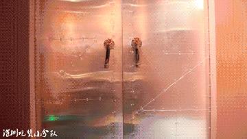 第一次在深圳吃早餐,第一次吃深圳海底捞