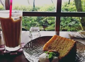 京都10月旅游攻略,京都枫叶季一日游