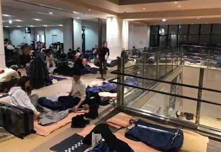 国内旅游新闻资讯最新,韩国济州岛旅游真实现状