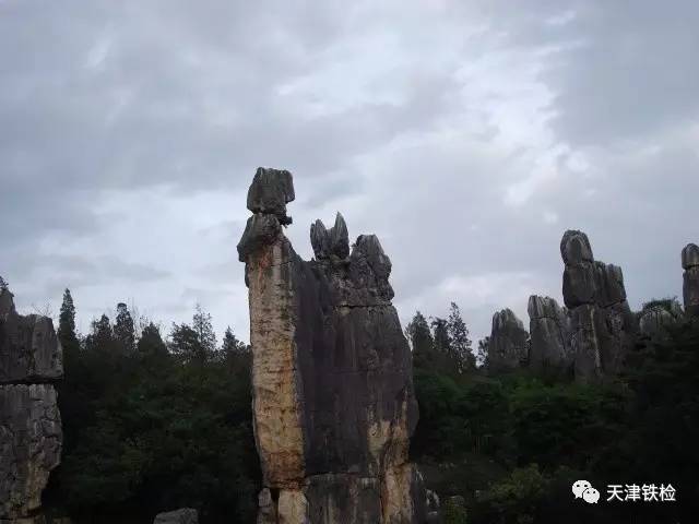 鍜岃皭鑷劧鎽勫奖浣滃搧,鍜岃皭鑷劧鎽勫奖浣滃搧娆h祻