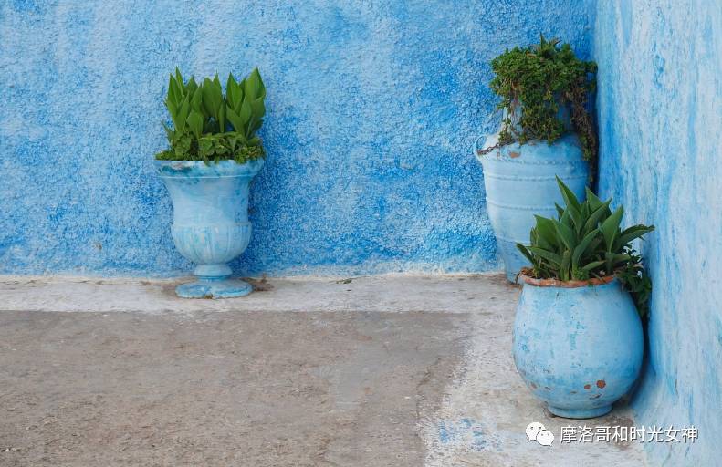 中国游客真的不爱逛博物馆吗?丨摩洛哥艺术时光漫步