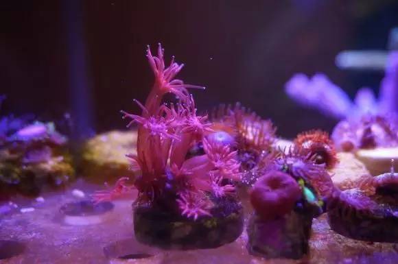 玩的真溜,三千玩出了三万的水平!