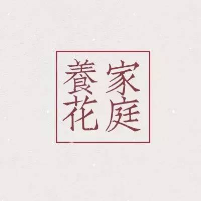 水仙养花盆,养花水仙