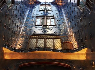 法兰西板鸭,板鸭西班牙语