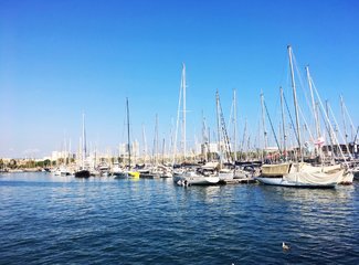 法兰西板鸭,板鸭西班牙语