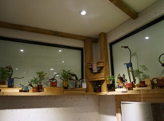 暴雨暴晒暴食暴走之湾湾七日游