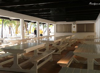 离天堂最近的地方张杰,离天堂最近的地方歌曲