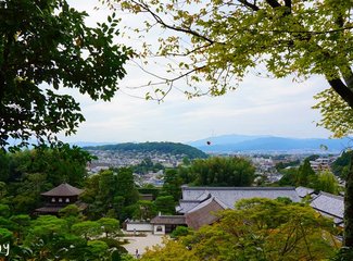 京都10月旅游攻略,京都枫叶季一日游