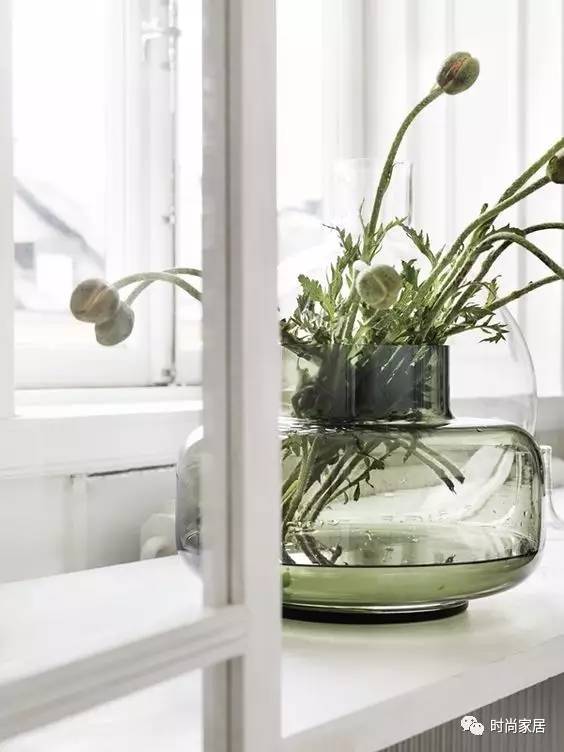 空气加湿器适合养什么绿植,这几种植物加湿效果堪比加湿器