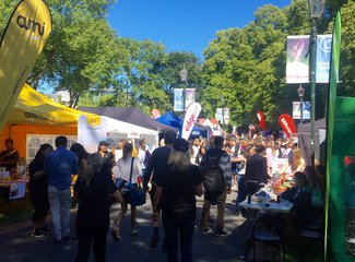 新西兰南岛自驾游景色,新西兰南岛跳伞攻略