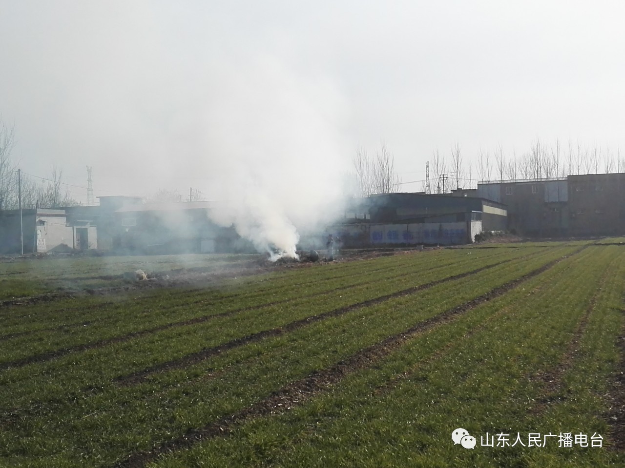 淄博济南雾霾,济南雾霾最严重的地方