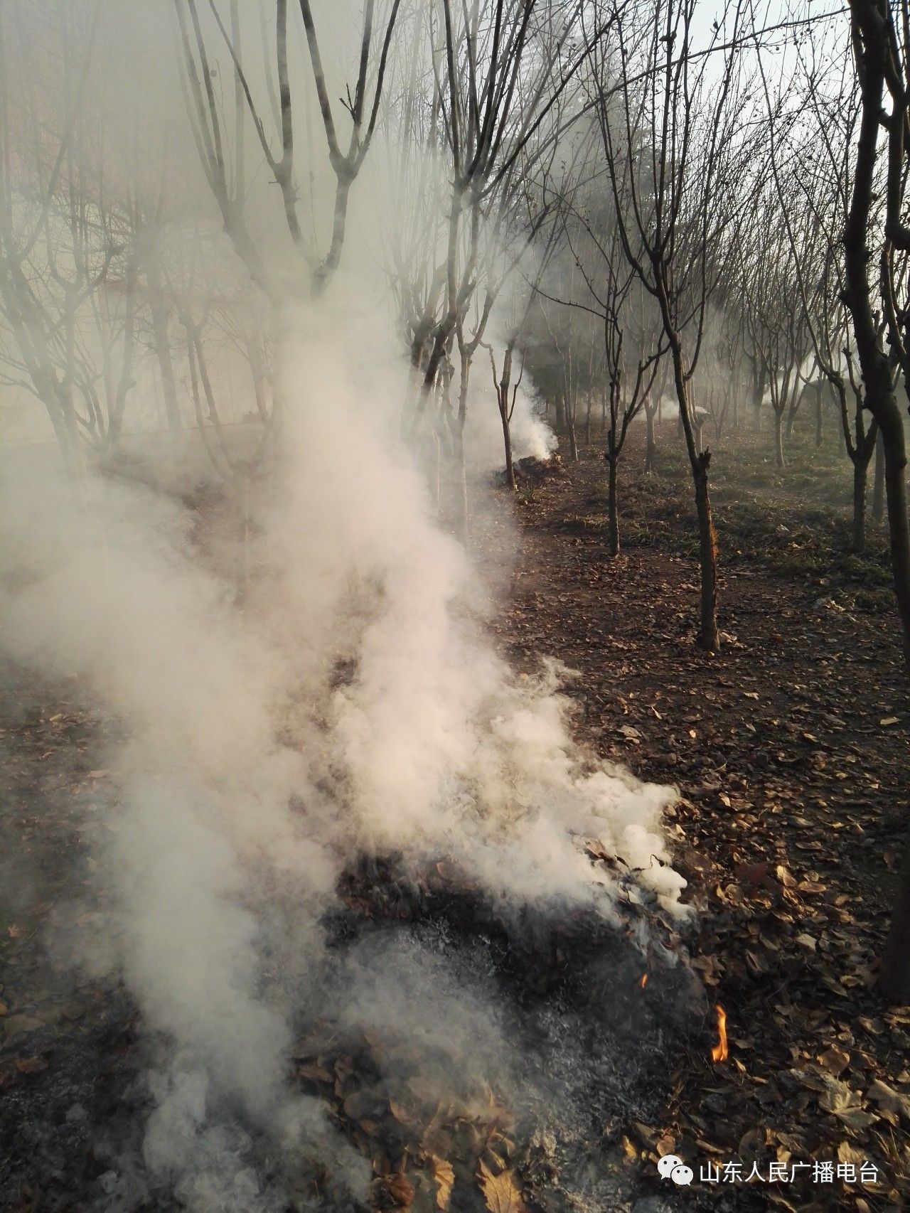 淄博济南雾霾,济南雾霾最严重的地方