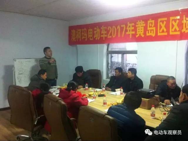 澳柯玛电动车曾经市场占有率,澳柯玛2017年电动车全部型号