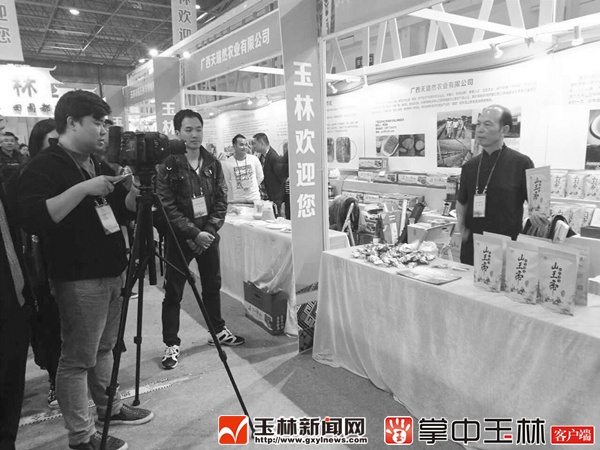 玉林大叶茶是山楂茶么,玉林大叶茶煮茶完整版