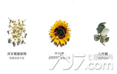 娇韵诗黄水柑橘保湿滋润测评,娇韵诗黄水绿水粉水有啥区别