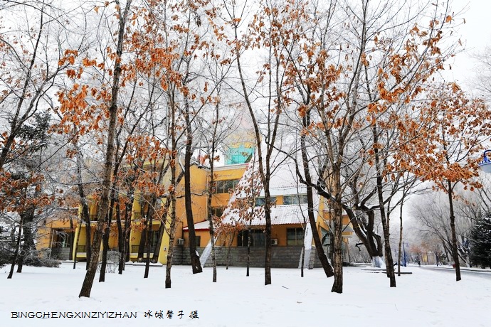 哈尔滨太阳岛的冬天照片,哈尔滨太阳岛的冬天有多美
