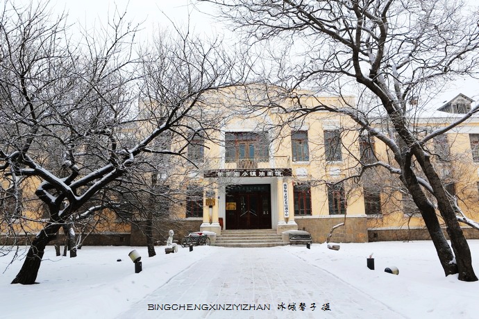 哈尔滨太阳岛的冬天照片,哈尔滨太阳岛的冬天有多美