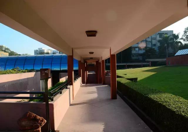 广州最便宜实惠的美食,广州一日游必备十大美食