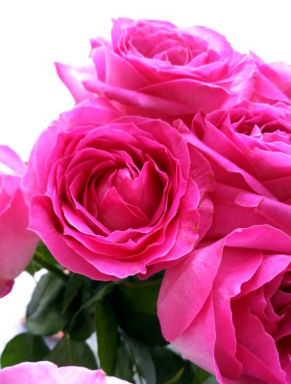 锤子m1l吃鸡画质,锤子m1评测王自如