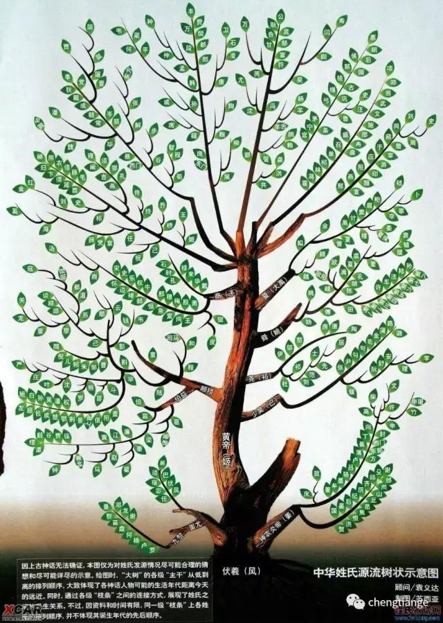 房氏家谱,房氏家谱信息