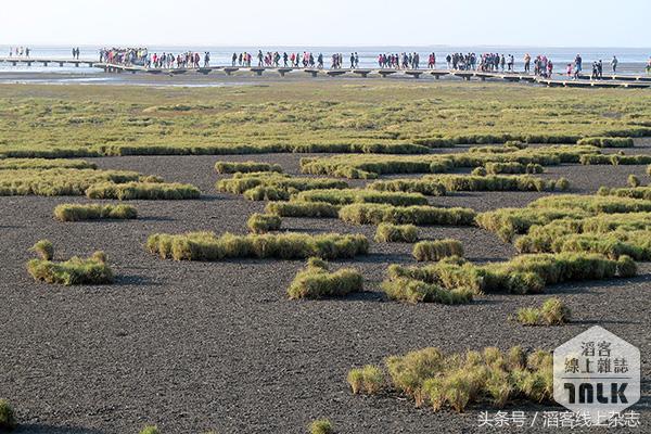 夕阳下的湿地美景,冬日下的湿地公园美如画