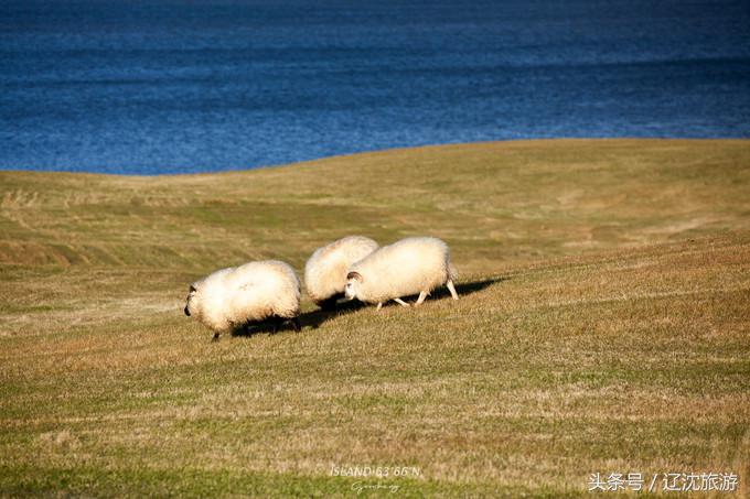 冰岛的两点自然奇景,真实的冰岛全景