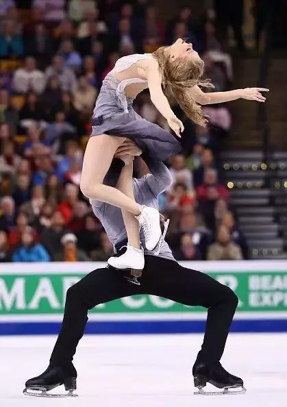 大象与大象拔河,与大象拔河比赛