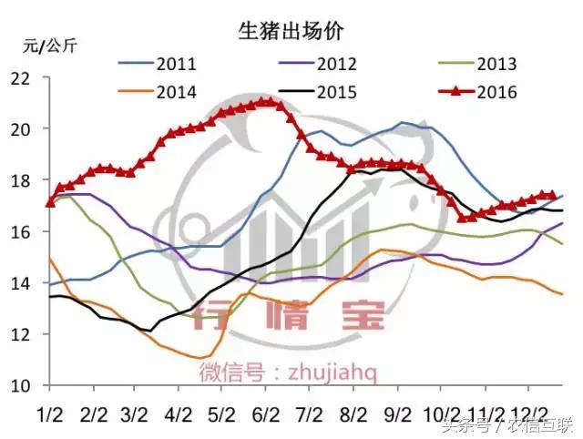 2019下半年猪价还能涨到多少,2019年猪价走势如何