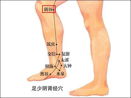 字里藏医解读,字里藏医