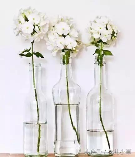 女人要坚强什么都是靠自己,女人还是要靠自己坚强一点