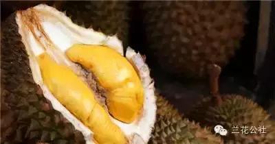 对女性好的五类食物,这四种食物女人一定要吃