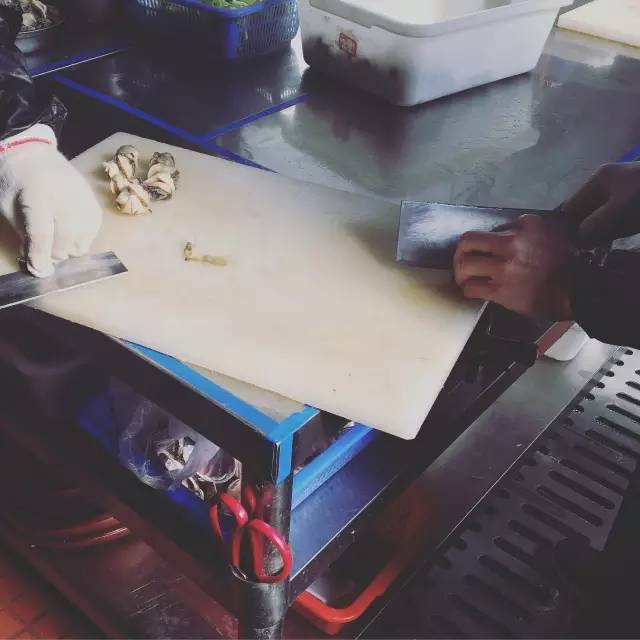 红鼎豆捞刺身,红鼎豆捞海鲜来源