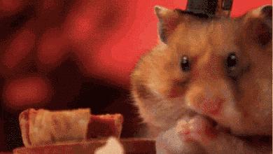 聊城推荐蛋糕店,聊城蛋糕店推荐哪家最好吃