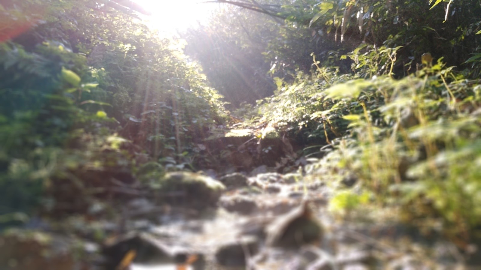 vivox9的舒适瞬间,vivox9小细节