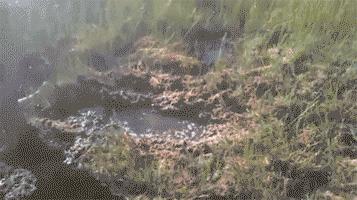 现在的汽车轮胎也会得肿瘤了吗？