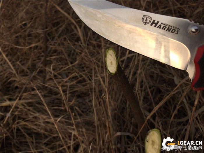 国产*刀折**中不多见的一款大折拓荒者户外*刀折**