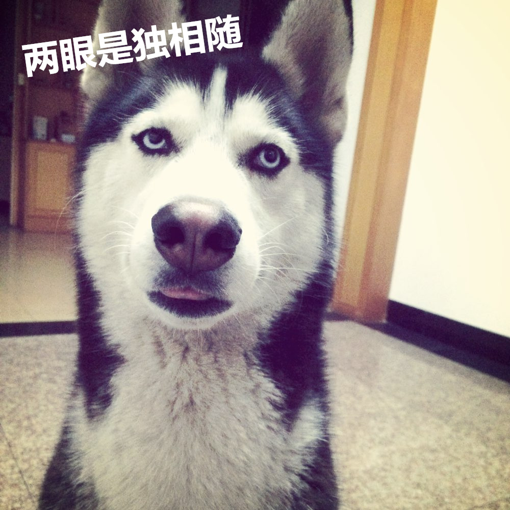 一人我饮酒醉女生唱出来的,一人我饮酒醉歌词来历详细解析