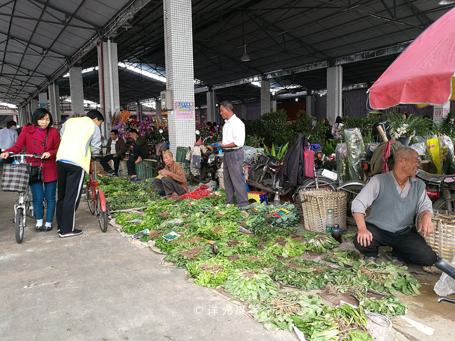 番禺各个镇大集时间表,广州去清远农村赶集