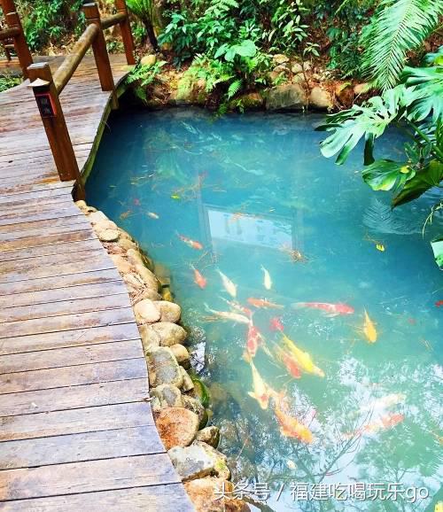 福州好玩的休闲场所,福州好玩很嗨的地方