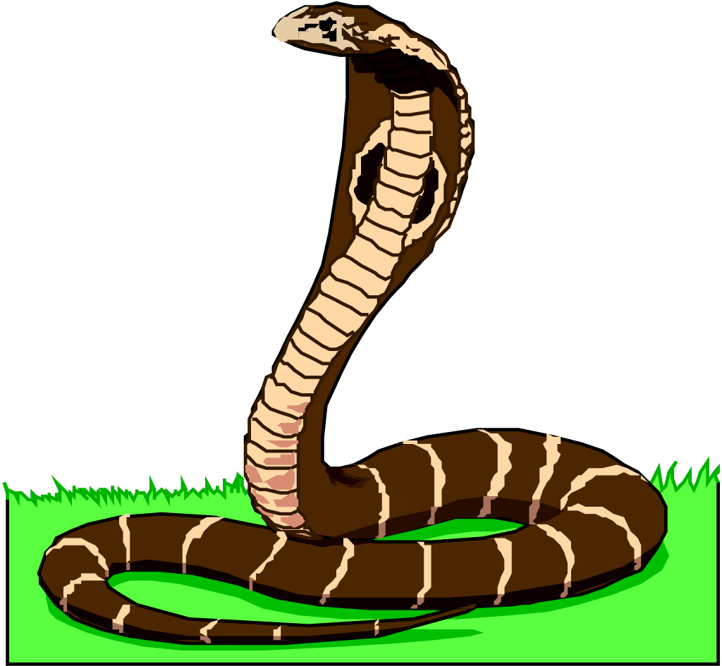 鏉戦暱琚瘨铔囧挰,鏉戦暱閬泧鍥存敾