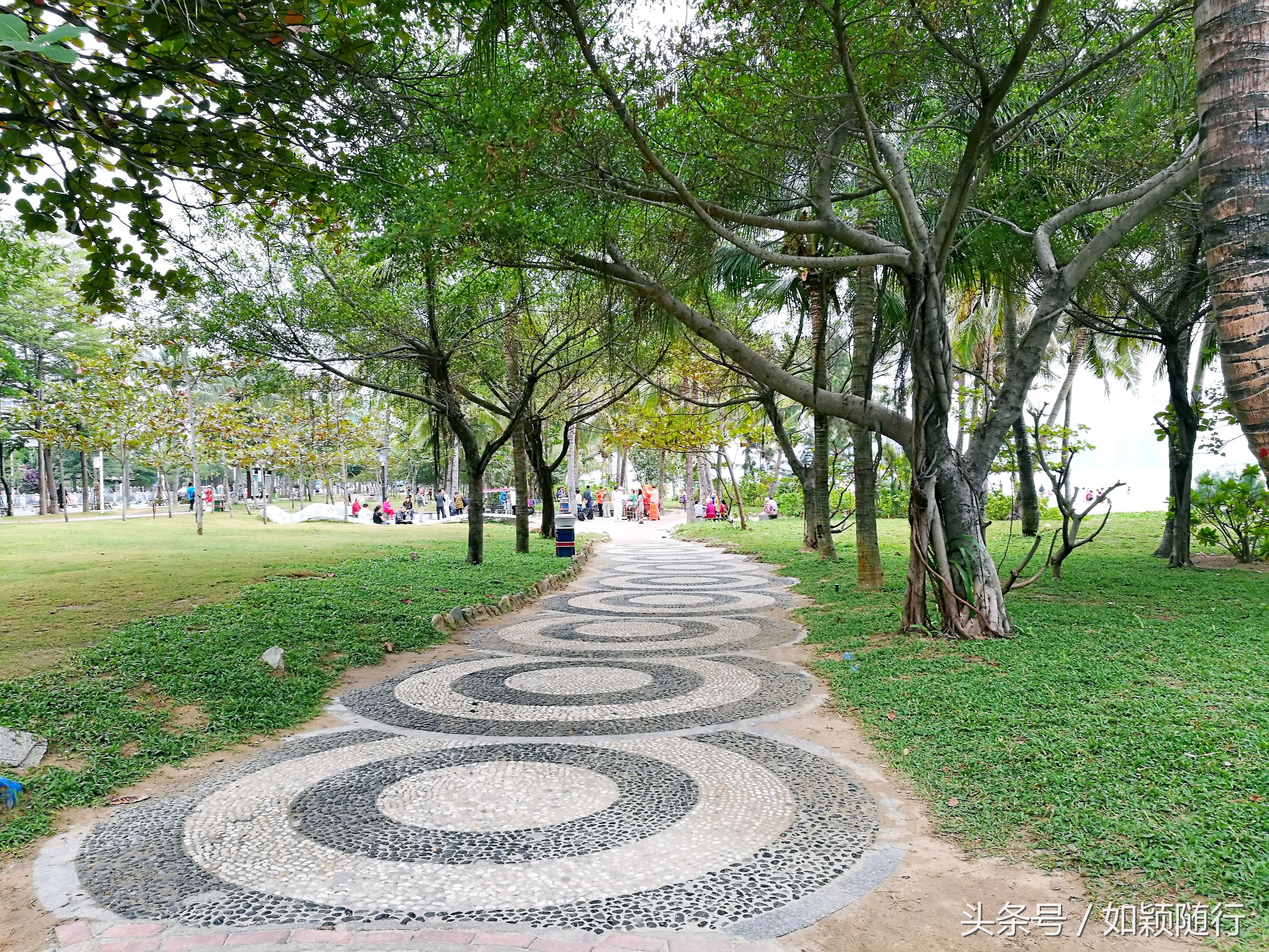 三亚湾之上一颗璀璨明珠,三亚太阳湾最美海湾
